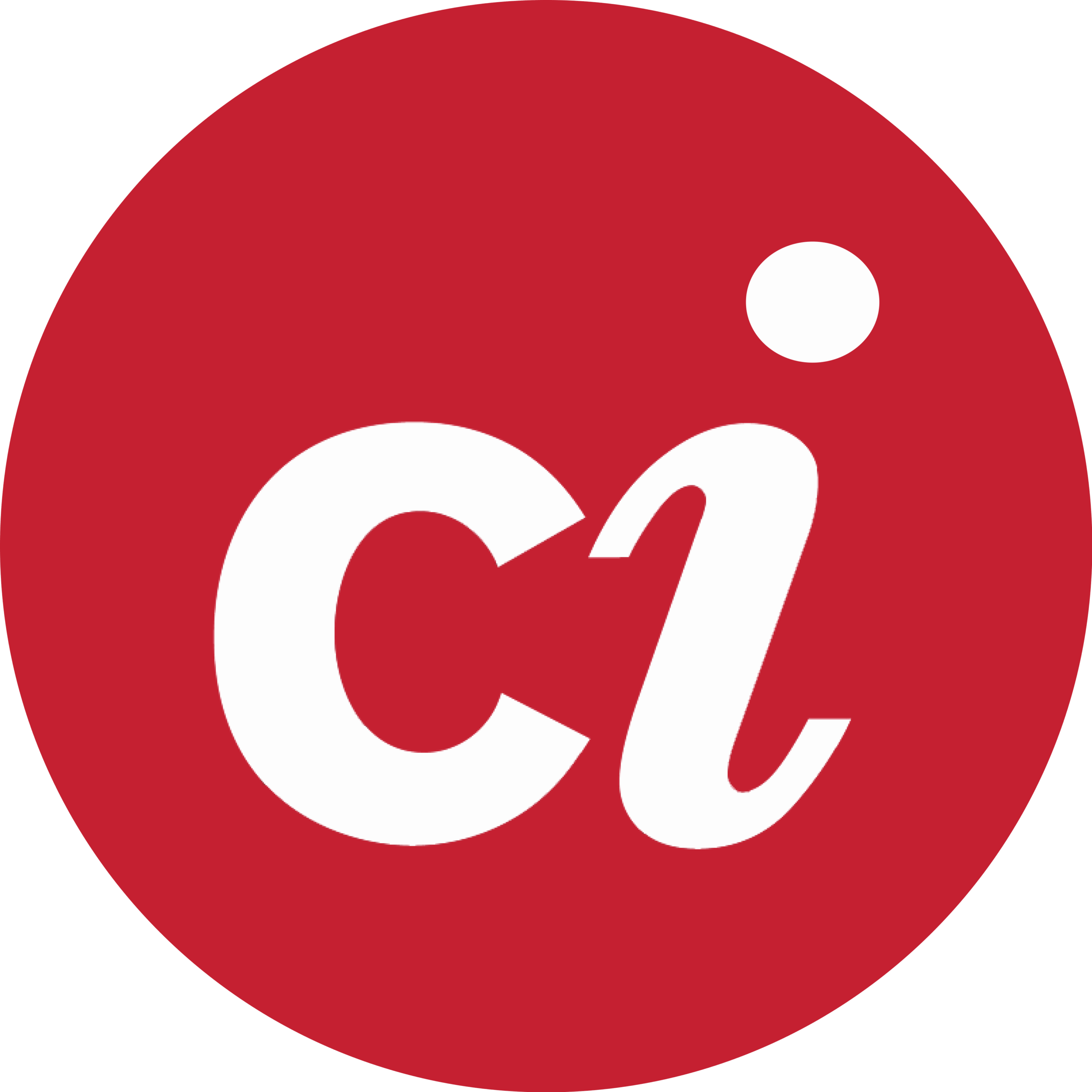 computer instruments logo